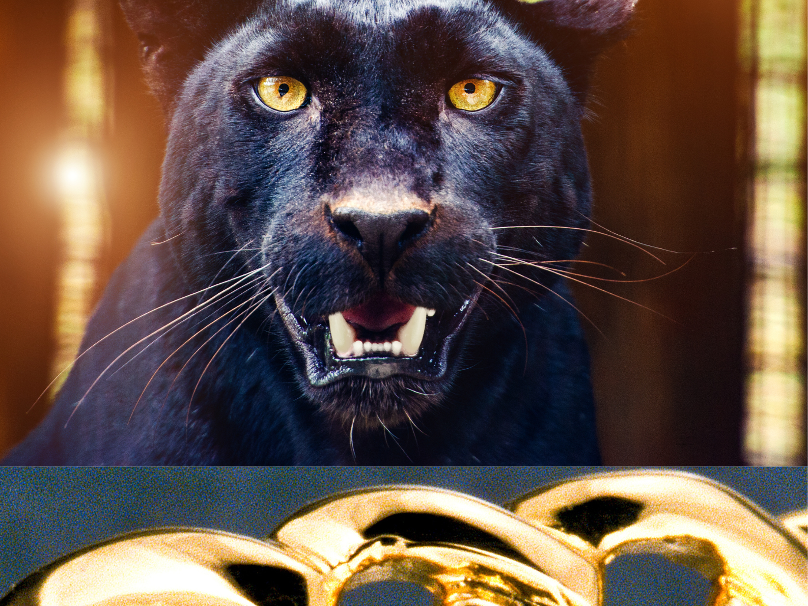 The Ultimate guide to finding Jewelry in Montreal.