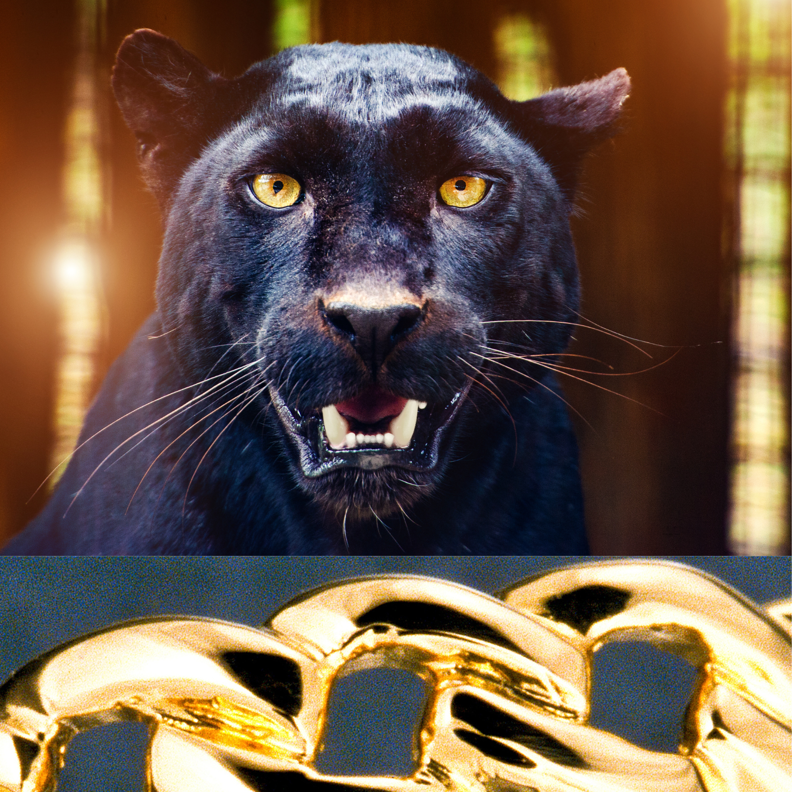 The Ultimate guide to finding Jewelry in Montreal.