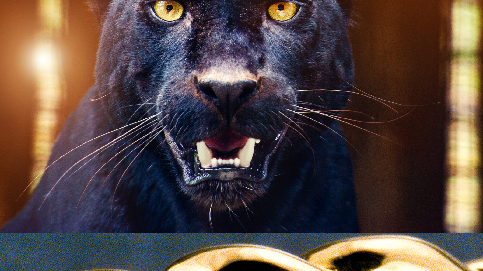 The Ultimate guide to finding Jewelry in Montreal.