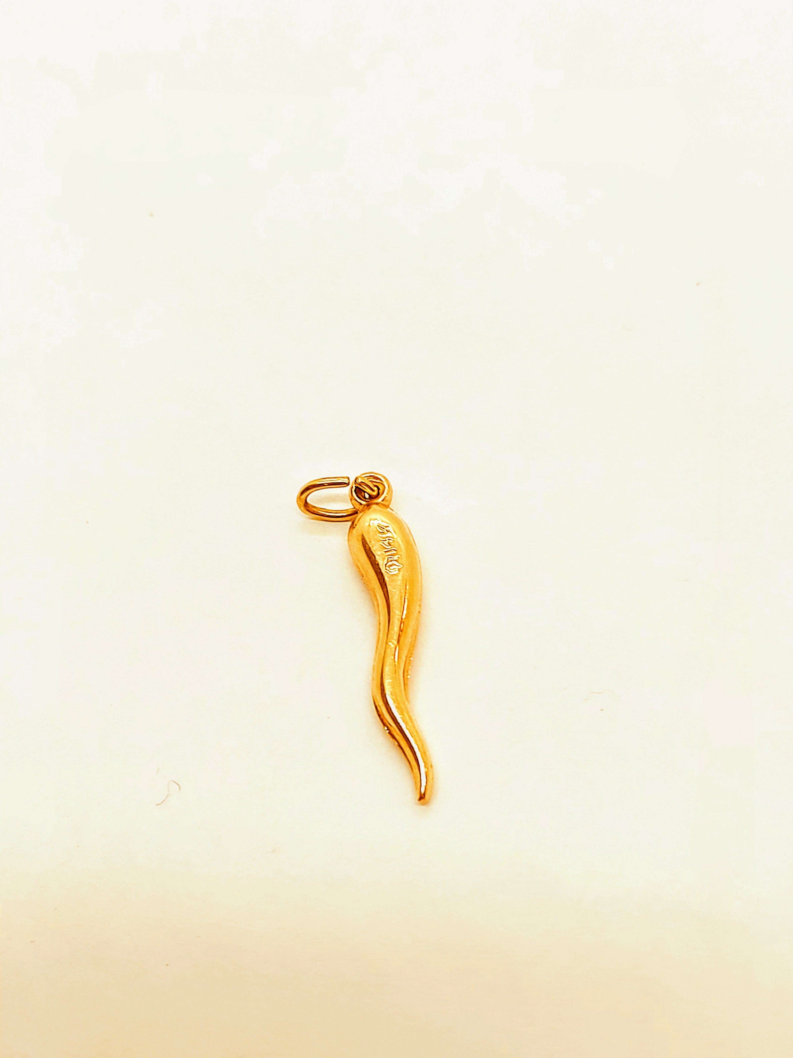 14k Gold Italian Horn (Cornicello) pendant