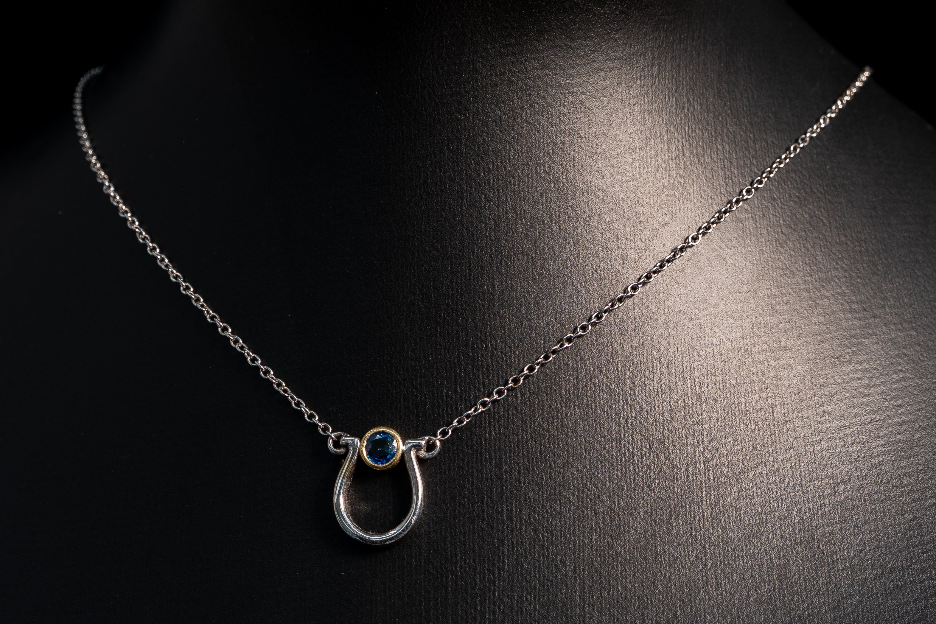 14k White Gold Horseshoe Necklace with a Blue Sapphire