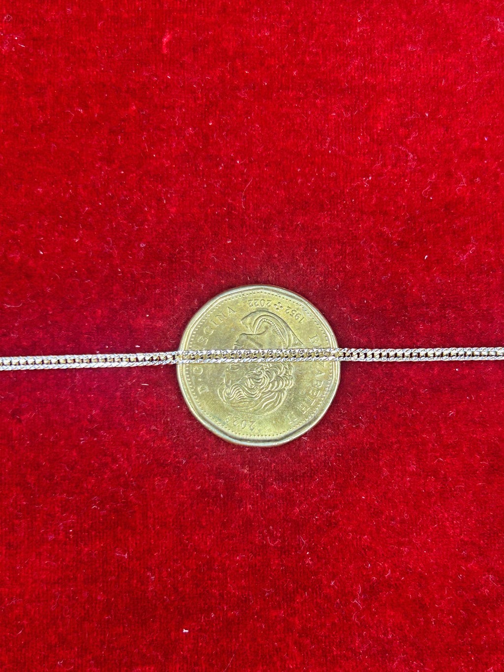 10k Gold Tight Curb link two tone Diamond cut Bracelet/Anklet