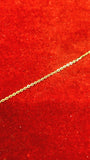10k Gold Rolo chain Bracelet/Anklet
