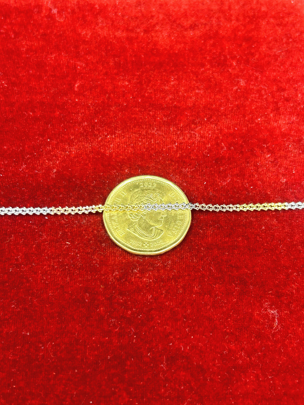10k Gold Three tone Curb Bracelet/Anklet with Diamond cut