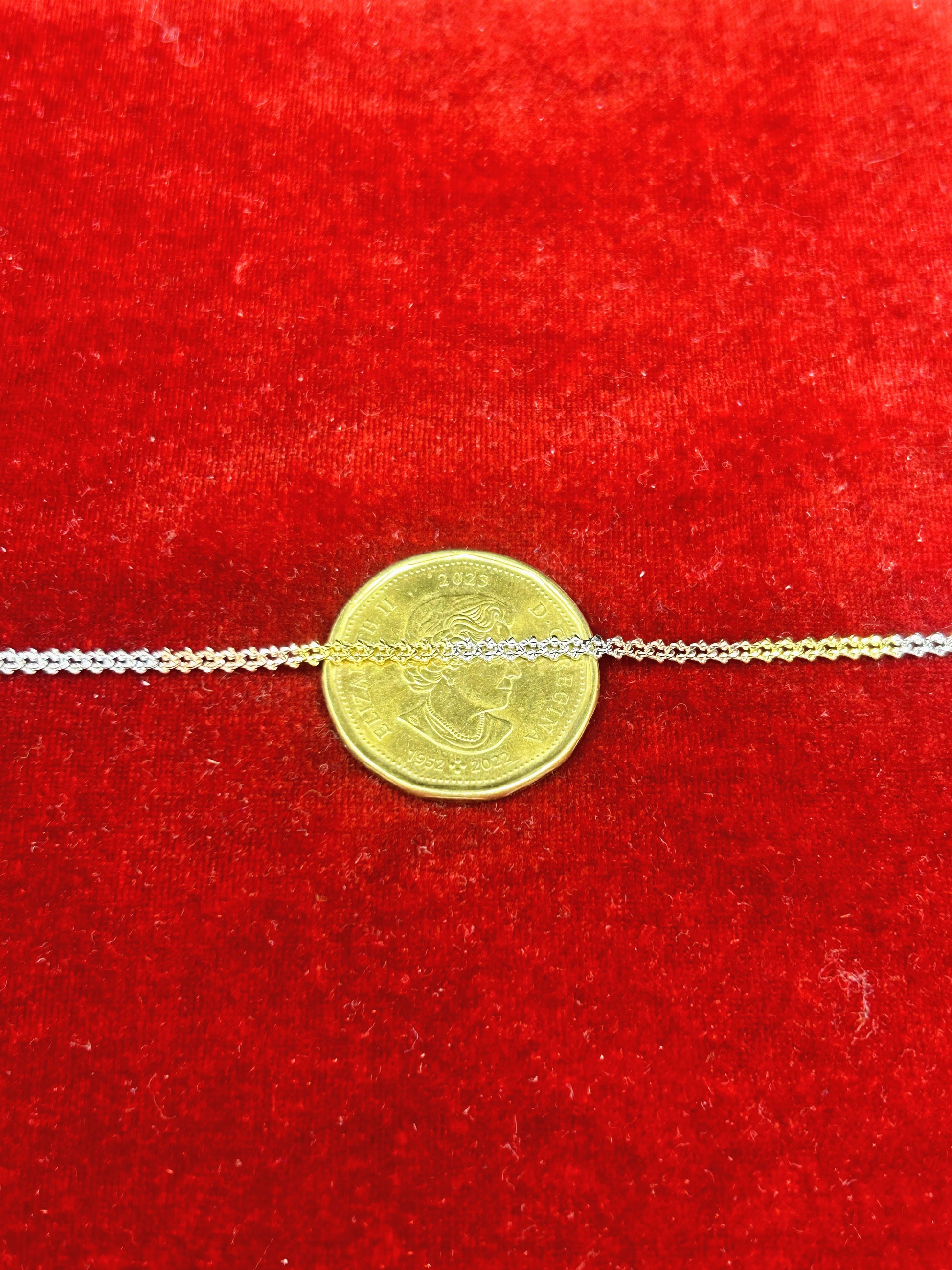 10k Gold Three tone Curb Bracelet/Anklet with Diamond cut