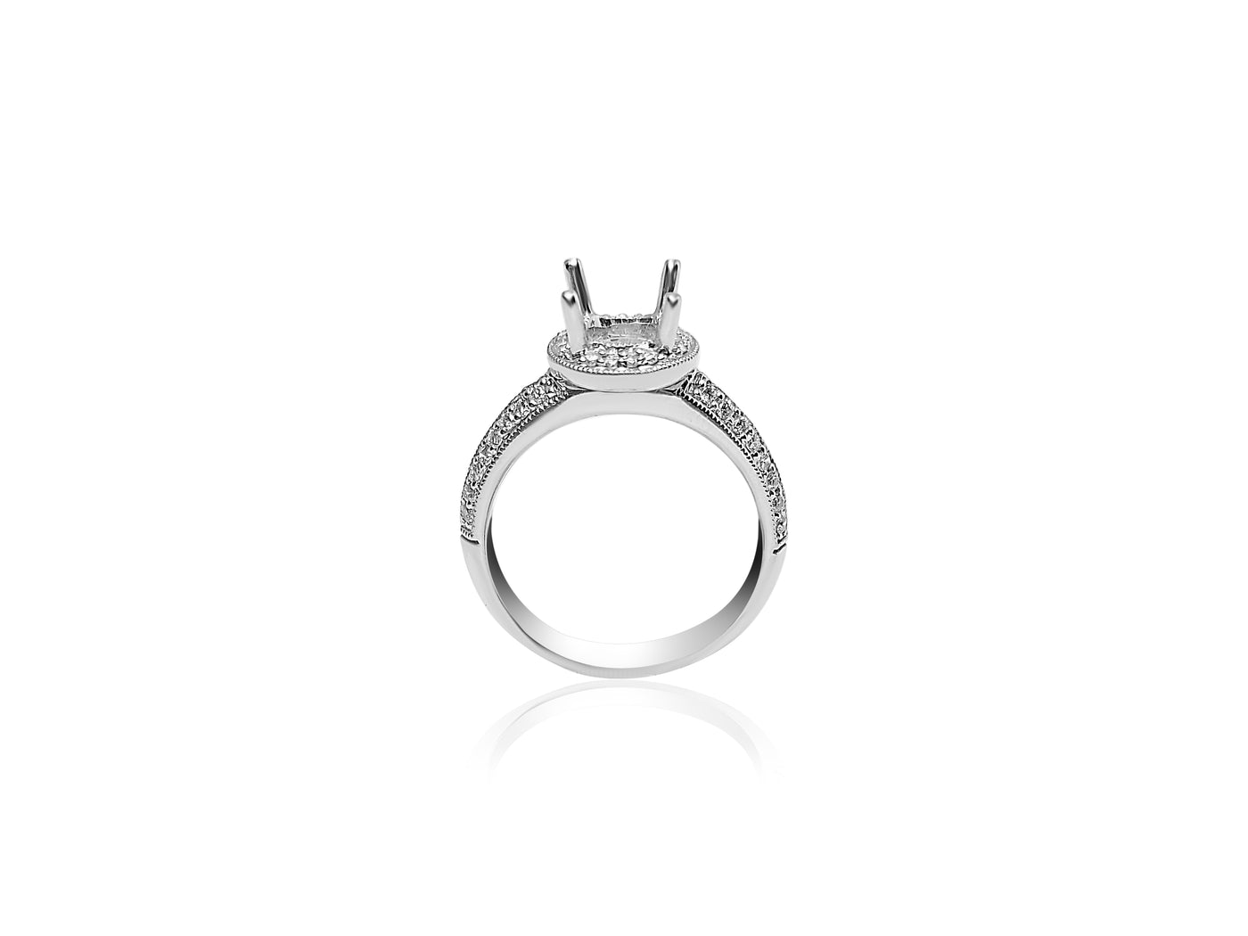 Customizable Halo Engagement Ring